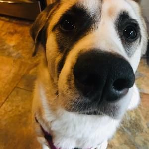 Meet your Posher, Mckenzie